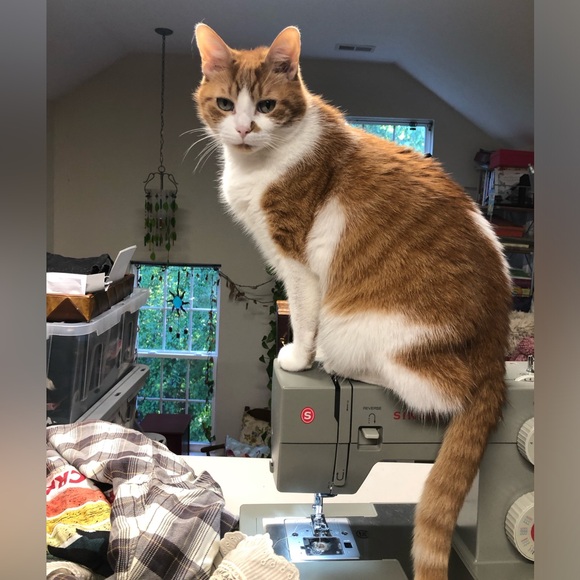 ❤️Meet your Posher, Pamela - Picture 2 of 7